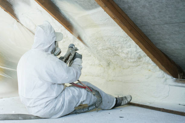 Types of Insulation We Offer in Deland, FL